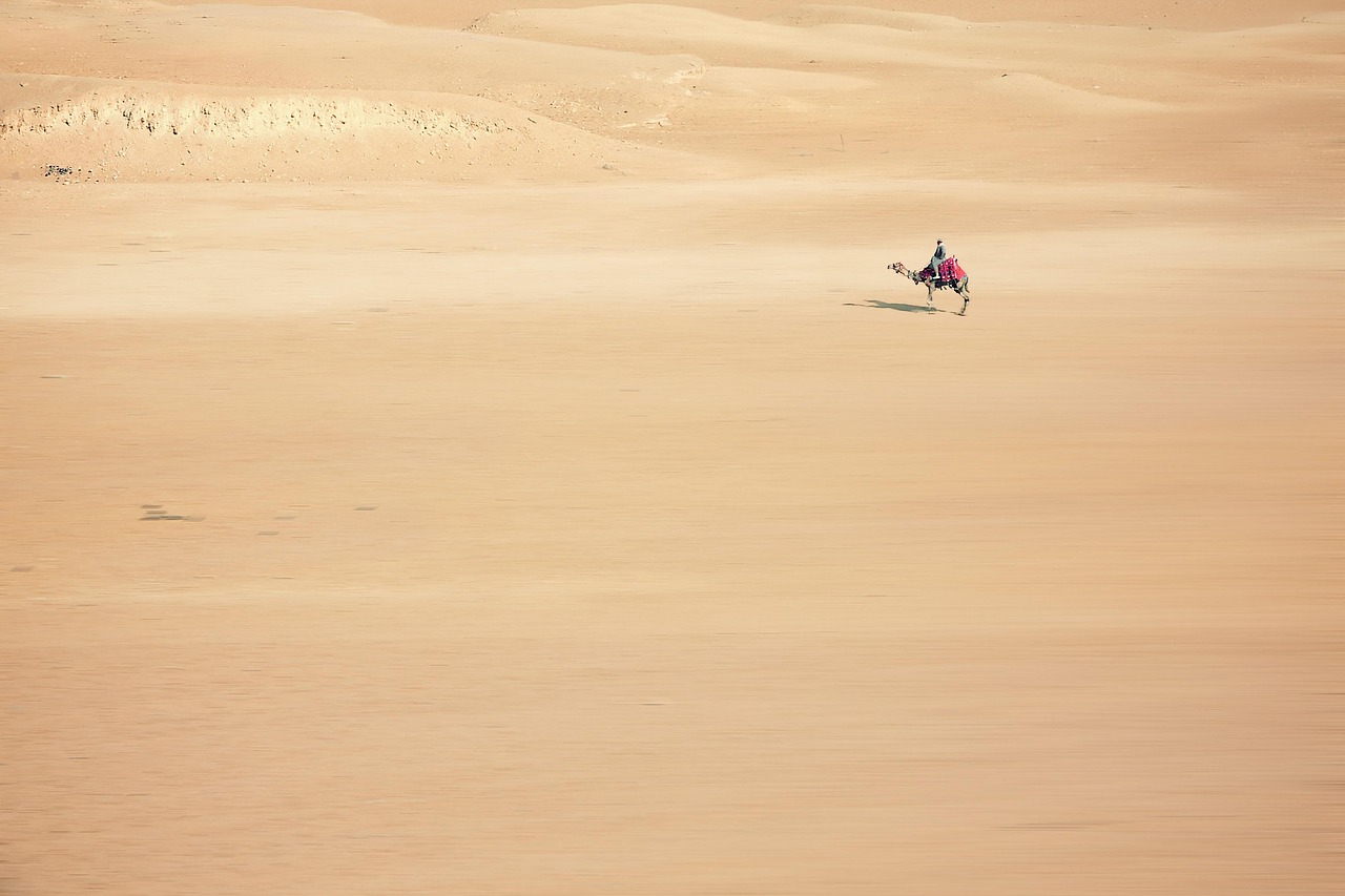 Gold Safari Package